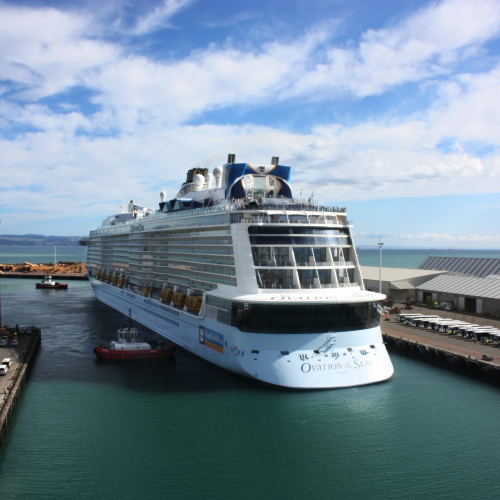 Cruise Ship calling in to Napier Port
