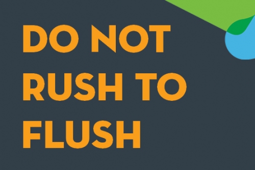 do not rush to flush webtile
