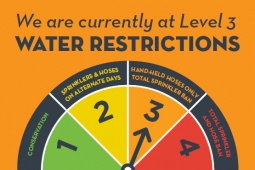 Level 3 Water Rest Website Tile