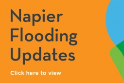 Napier Flood Website Tile V1.0