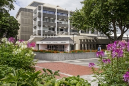 Napier Library Frontage Jan 2016 LOW RES