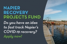 Napier Recovery Fund Web Tile v1.0 June 20