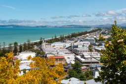 Napier city New Zealand