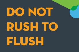 do not rush to flush webtile