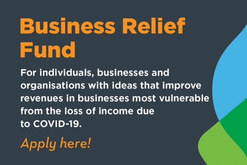 Business Relief Fund Website Banner V1