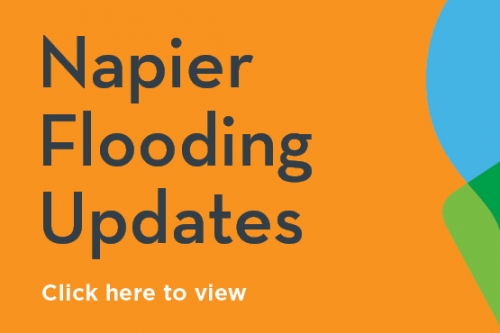Napier Flood Website Tile V1.0