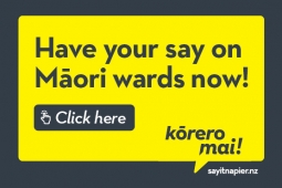Maori Wards Website Tile v1.0