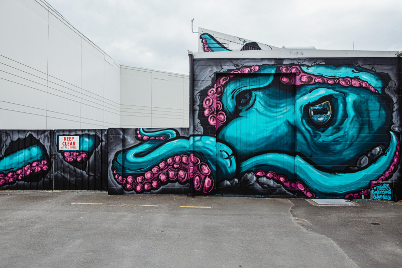 Purple and teal tentacles have taken over a water pump station in Greenmeadows thanks to a street artist and his school children collaborators.